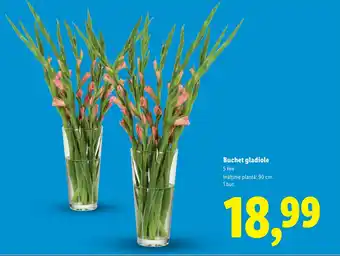 Lidl Buchet gladiole Ofertă