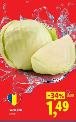 Lidl Varză albă Ofertă