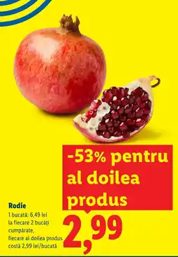 Lidl Rodie Ofertă