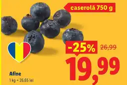 Lidl Afine Ofertă