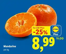 Lidl Mandarine Ofertă