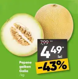 PROFI Pepene galben Galia Ofertă