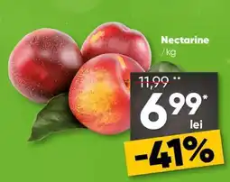 PROFI Nectarine Ofertă