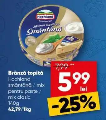 PROFI Brânză topită Hochland Ofertă
