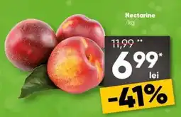 PROFI Nectarine Ofertă