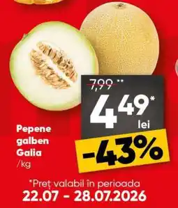 PROFI Pepene galben Galia Ofertă