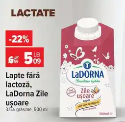 Carrefour Lapte fără lactoză LaDorna Zile ușoare Ofertă