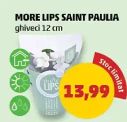 Penny MORE LIPS SAINT PAULIA Ofertă