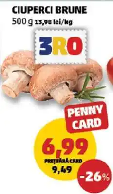 Penny Ciuperci brune Ofertă