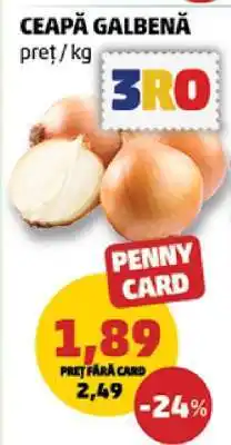 Penny Ceapă galbenă Ofertă