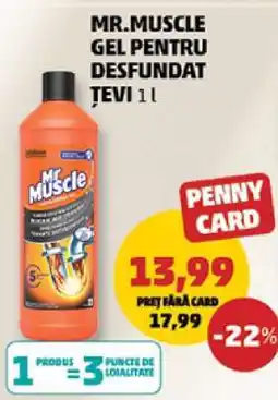 Penny Mr. Muscle Gel pentru desfundat țevi 1L Ofertă