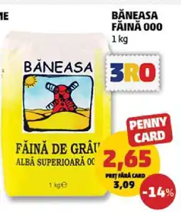 Penny Băneasa Făină 000 Ofertă