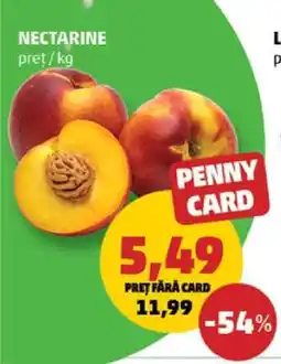 Penny Nectarine Ofertă