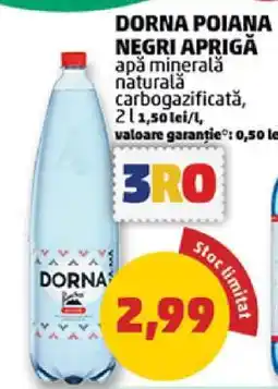 Penny DORNA POIANA NEGRI APRIGĂ Ofertă