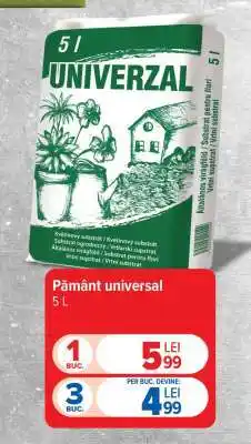 Carrefour Pământ universal Ofertă