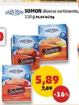 Penny Gran Mare Somon Ofertă