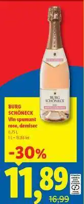 Lidl Burg Schöneck Ofertă