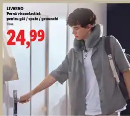 Lidl LIVARNO Pernă viscoelastică Ofertă