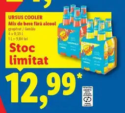 Lidl URSUS COOLER Ofertă