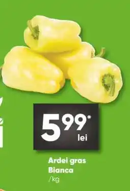 PROFI ARDEI GRAS BIANCA Ofertă