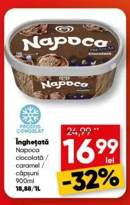 PROFI Înghețată Napoca Ofertă