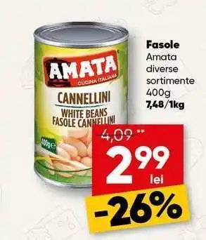 PROFI Fasole Amata Ofertă
