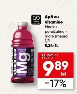 PROFI Apă cu vitamine Merlins Ofertă