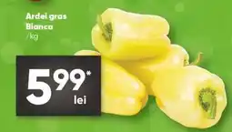 PROFI ARDEI GRAS BIANCA Ofertă