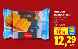 Lidl MILBONA Brânză Cheddar Ofertă