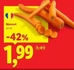 Lidl Morcovi Ofertă
