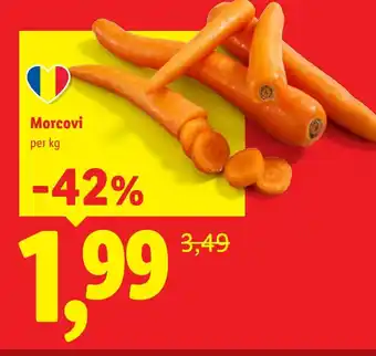 Lidl Morcovi Ofertă