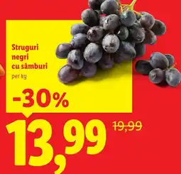 Lidl Struguri negri cu sâmburi Ofertă