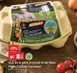 Carrefour Market Ouă de la găini crescute în aer liber, Filiera Calității Carrefour Ofertă