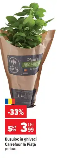 Carrefour Market Busuioc în ghiveci Carrefour la Piață Ofertă