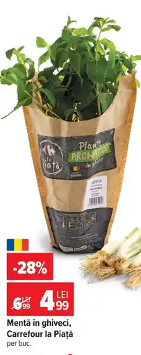 Carrefour Market Mentă în ghiveci, Carrefour la Piață Ofertă