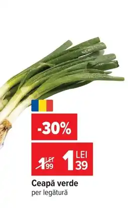 Carrefour Market Ceapă verde Ofertă