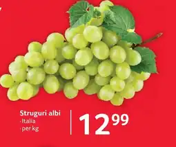 Selgros Struguri albi Ofertă