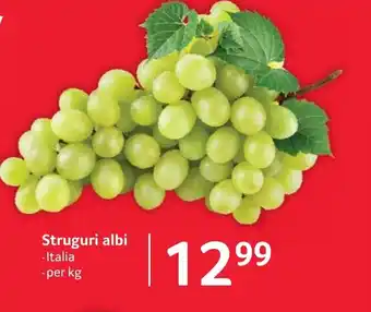 Struguri albi