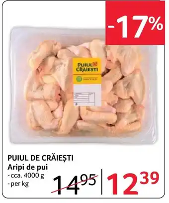 PUIUL DE CRĂIEȘTI Aripi de pui