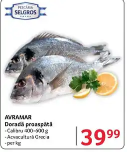 Selgros AVRAMAR Doradă proaspătă Ofertă