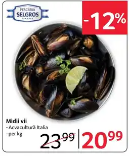Selgros Midii vii Ofertă