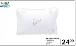 Selgros Pernă matlasată Ofertă