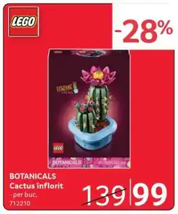 Selgros BOTANICALS Cactus înflorit Ofertă