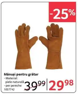 Selgros Mănuși pentru grătar Ofertă