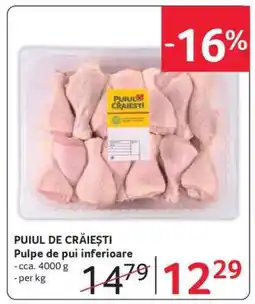 Selgros PUIUL DE CRĂIEȘTI Ofertă