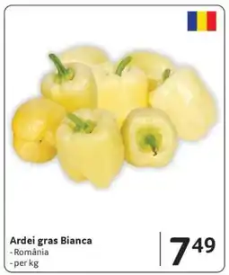 Selgros ARDEI GRAS BIANCA Ofertă