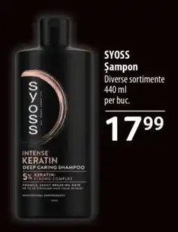 Selgros Syoss Șampon Ofertă