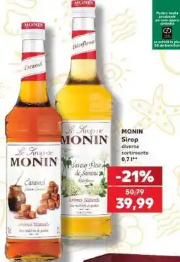 Kaufland MONIN Sirop Ofertă