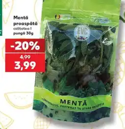 Kaufland Mentă proaspătă Ofertă