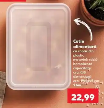 Kaufland Cutie alimentară Ofertă